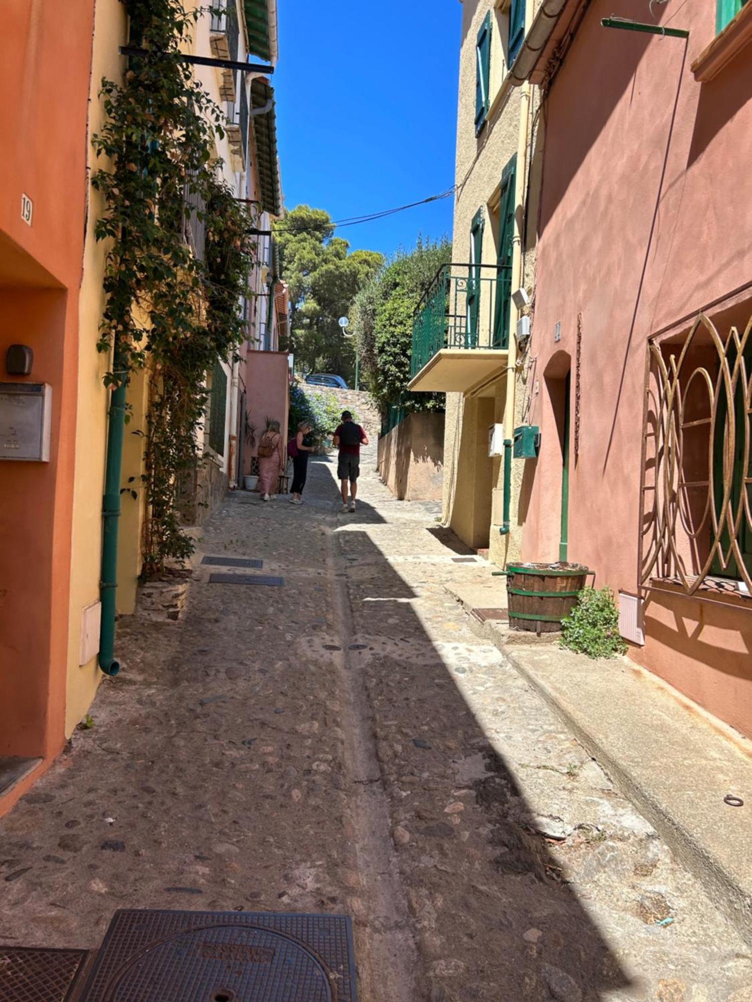 Petite Maison Quartier Hist Collioure Kültér fotó