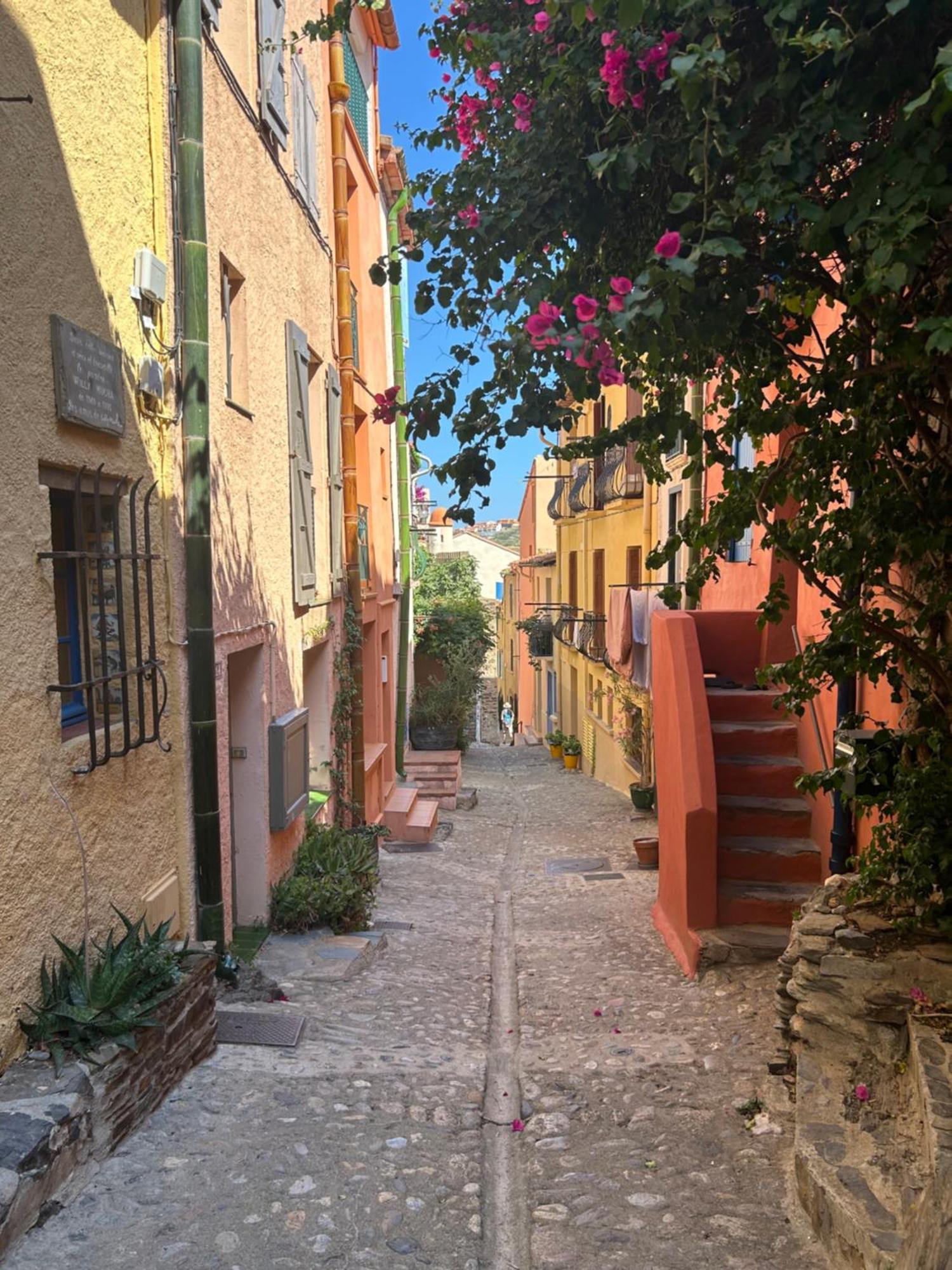 Petite Maison Quartier Hist Collioure Kültér fotó