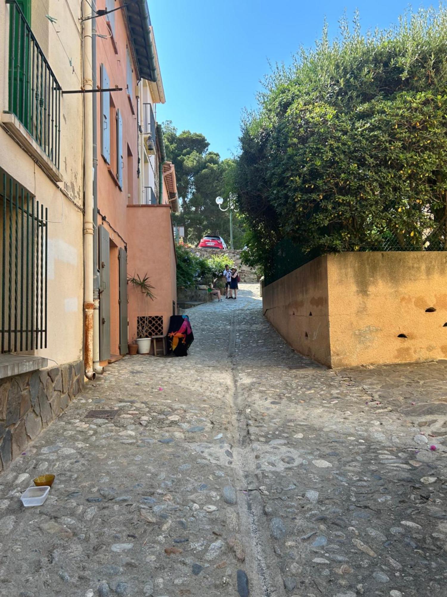 Petite Maison Quartier Hist Collioure Kültér fotó